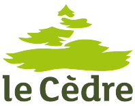 Le cèdre